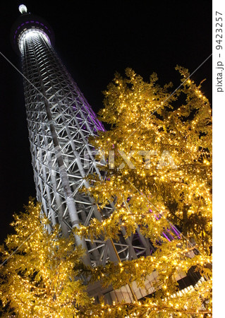 東京スカイツリーとイルミネーション 東京スカイツリーとイルミネーション 9423257