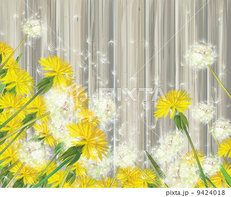 Vector dandelions on wooden background. Vector dandelions on wooden background. 9424018