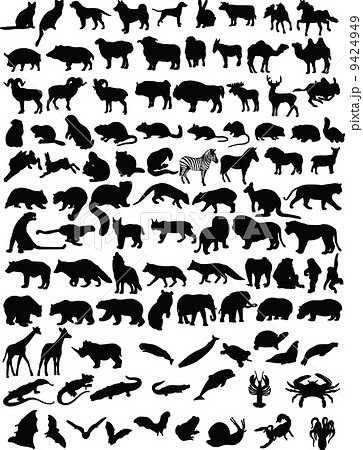 100 animals 9424949