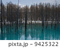 残雪の青い池 9425322