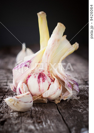 Fresh Garlic on the Wooden Table, selective focus Fresh Garlic on the Wooden Table, selective focus 9426064