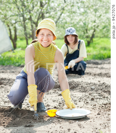 women sows seeds in soil 9427076