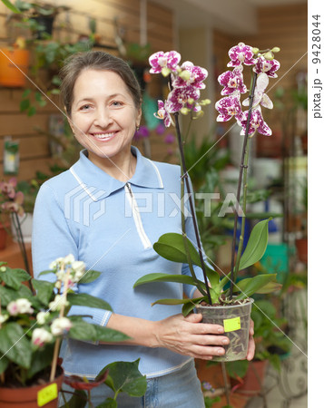 woman with Phalaenopsis orchid at flower shop woman with Phalaenopsis orchid at flower shop 9428044