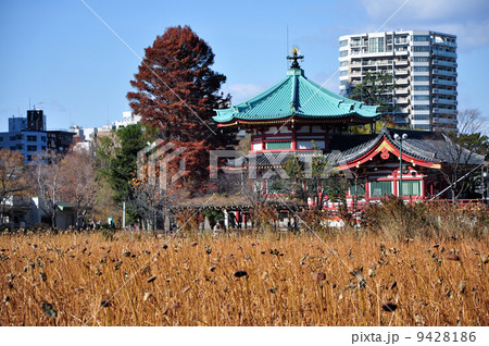 上野　弁天堂と不忍池（2013.12） 9428186