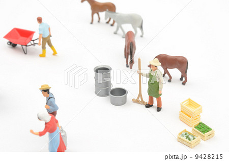 酪農 9428215