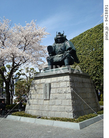 桜に彩られた武田信玄公之像 甲府駅南口広場 の写真素材