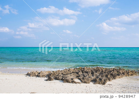 沖縄の海 9428947