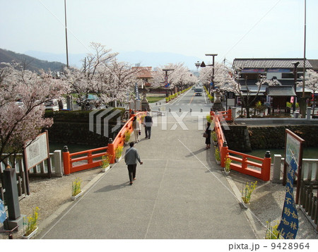 武田神社の神橋と桜並木の武田通りの写真素材