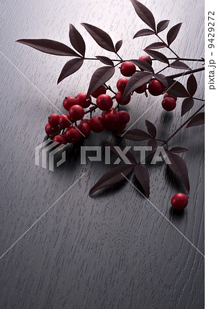 南天 南天 9429272