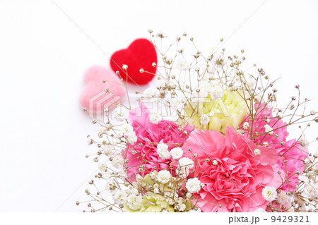 花 カーネーション 母の日 ハート ハート型 愛 赤色 ラブ 心 気持ち 好き 仲良し 愛する の写真素材
