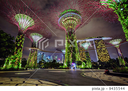 Night view of Gardens by the Bay, Singapore 9435544