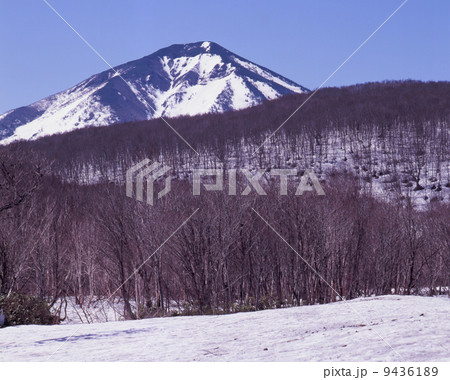 春の八甲田 9436189