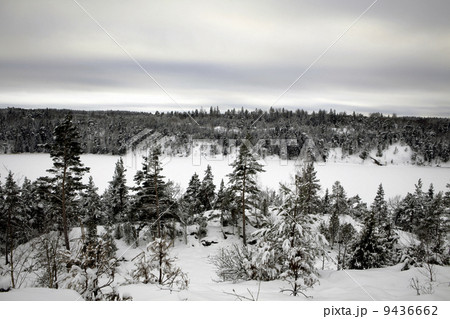 Winter Sweden 9436662