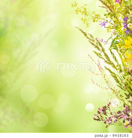 Floral holiday background 9438163