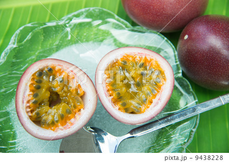 パッションフルーツ パッションフルーツ 9438228