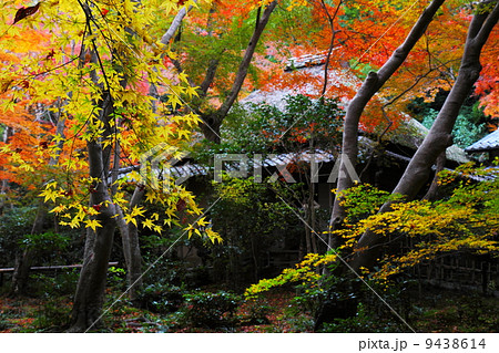 紅葉の祇王寺 9438614