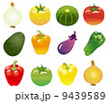 水彩風の野菜 9439589