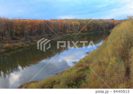 The Russian River landscape in the yellow autumn woods The Russian River landscape in the yellow autumn woods 9440915