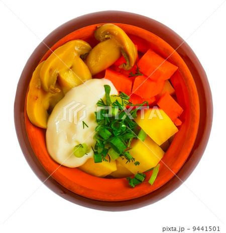 potatoes stewed meat, mushrooms and carrots and onions in cerami potatoes stewed meat, mushrooms and carrots and onions in cerami 9441501