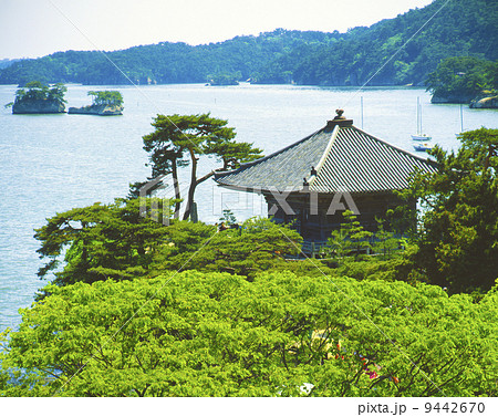松島 9442670
