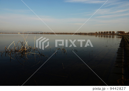 渡良瀬遊水地 渡良瀬遊水地 9442827