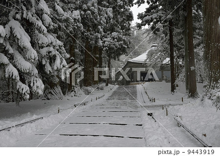 中尊寺金色堂　雪景色 9443919