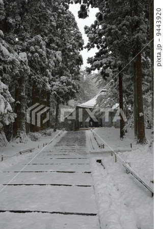 中尊寺金色堂　雪景色 9443920