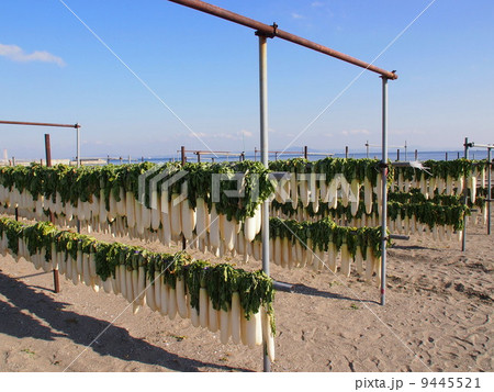 大根干し 9445521