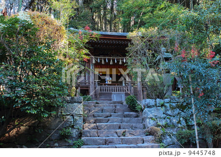 京都　宇治上神社　春日社 9445748