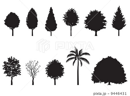 街路樹 シルエットのイラスト素材