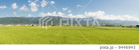 Rural scenery 9446943