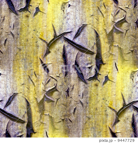 Seamless abstract grunge texture with cracks in the paint 9447729