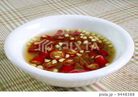 Fish Sauce Thailand in a white cup 9448388