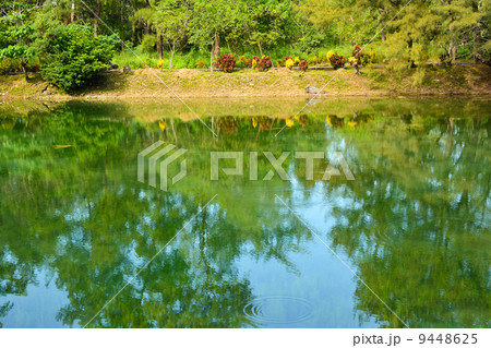 Pipa lake 9448625