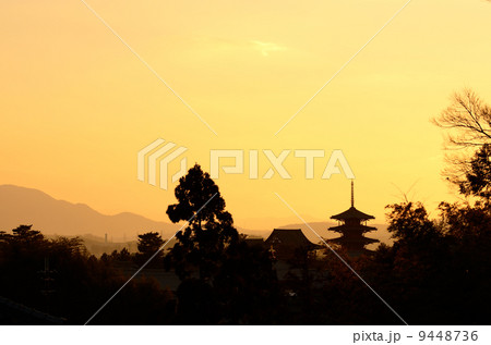 冬夕焼の法隆寺 9448736