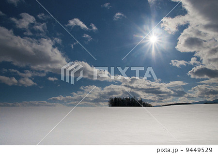 雪原 雪原 9449529