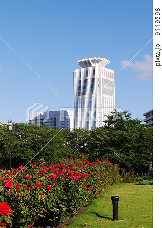 横須賀ベルニー公園とホテルの景色 横須賀ベルニー公園とホテルの景色 9449598