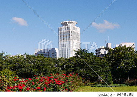 横須賀ベルニー公園とホテルの景色 9449599