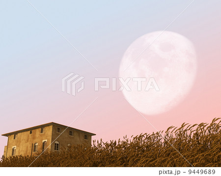 大きい月 9449689