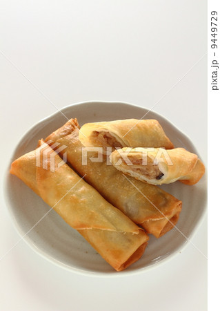 春巻 春巻 9449729