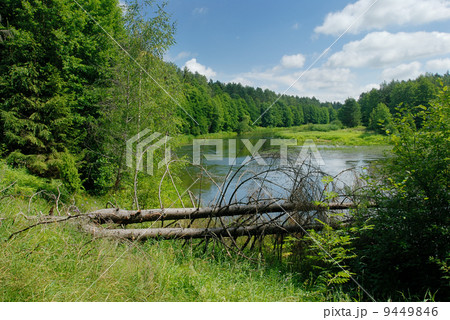 Summer on the river 9449846