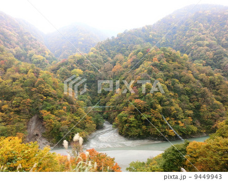 トロッコ列車の車窓から 9449943
