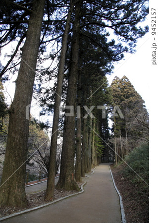 杉の小路 杉の小路 9452157