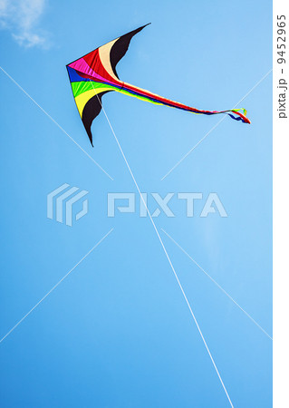 Multicolored kite Multicolored kite 9452965