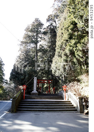 箱根神社（箱根町） 9453295