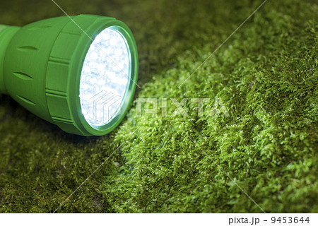 苔の上のLEDライト 苔の上のLEDライト 9453644