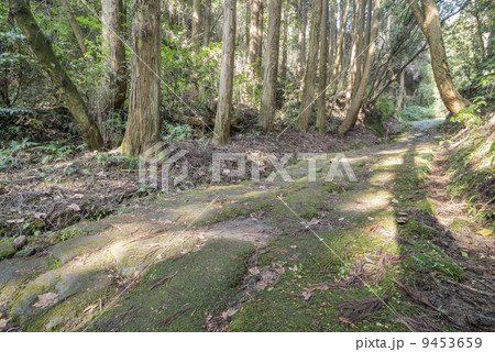 木漏れ日の当たる龍門司坂の石畳 9453659