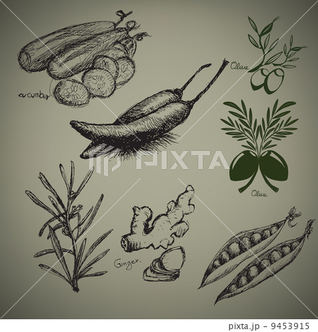 Related Vegetables 9453915