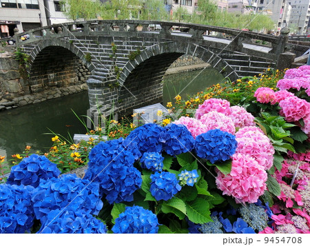 アジサイ咲く頃 アジサイ咲く頃 9454708