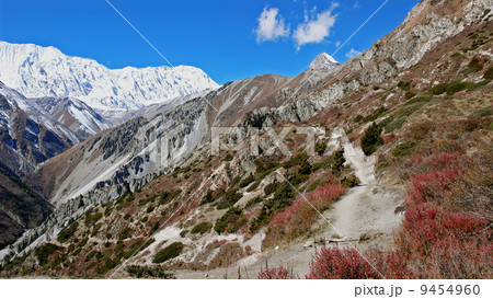 Annapurna trekking 9454960